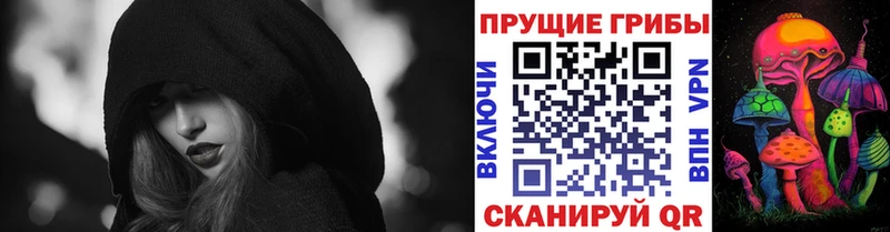 Псилоцибиновые грибы Psilocybe  Цоци-Юрт 