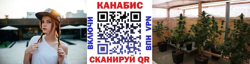 Бошки марихуана White Widow  Цоци-Юрт 