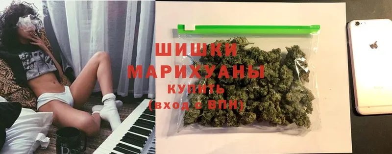 Бошки Шишки OG Kush  закладки  блэк спрут маркетплейс  Цоци-Юрт 